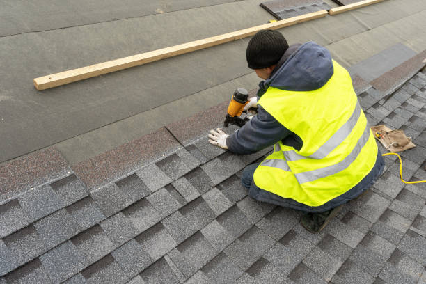 Best Metal Roofing Contractor  in Poplarville, MS
