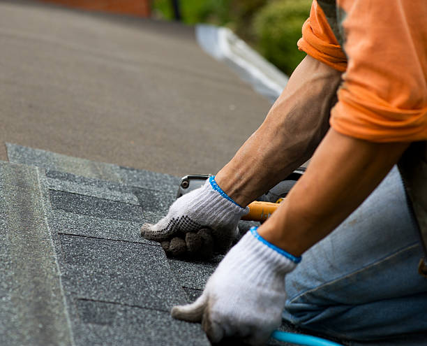 Best Roof Maintenance Services  in Poplarville, MS