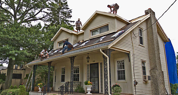 Gutter Installation and Roofing in Poplarville, MS