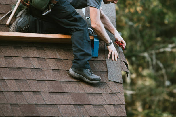 Best Shingle Roofing Installation  in Poplarville, MS